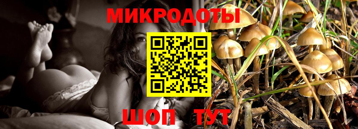 Псилоцибиновые грибы GOLDEN TEACHER  где купить наркоту  Бутурлиновка  Вход с VPN  Галлюциногенные грибы Psilocybe 